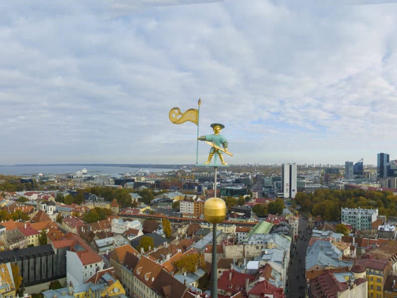 Why Your Estonian Business Address and Contact Person Provider Must Be Licensed