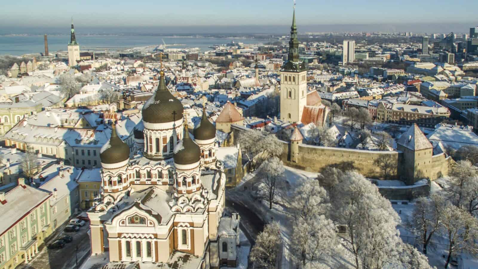 Estonian Business Address Only: When a Simple Tallinn Address Is All You Need