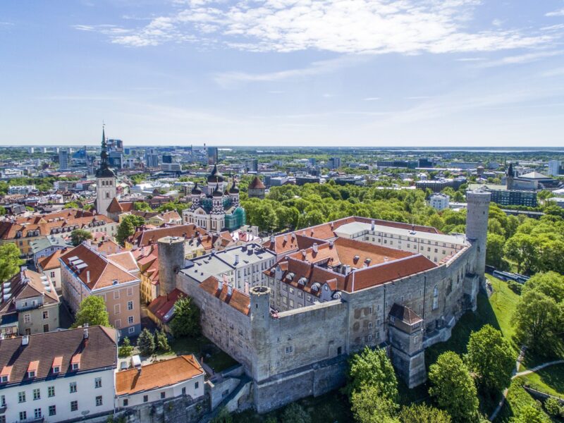 Estonian OÜ Holding Company for Foreign Businesses