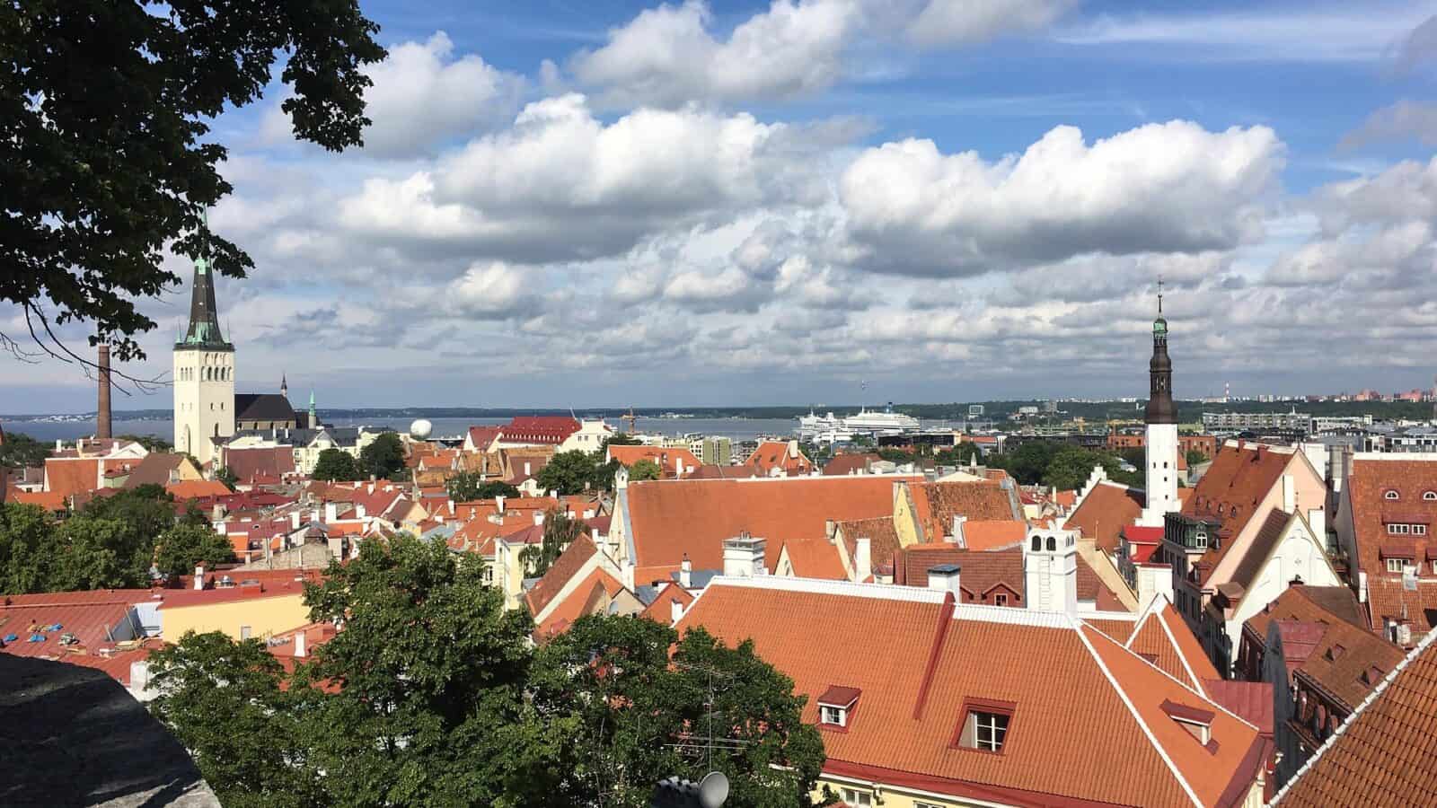 7 Reasons to Incorporate Your Company in Estonia
