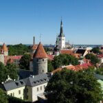 Estonian Company Lookup: How to Find Any Company’s Details for Free