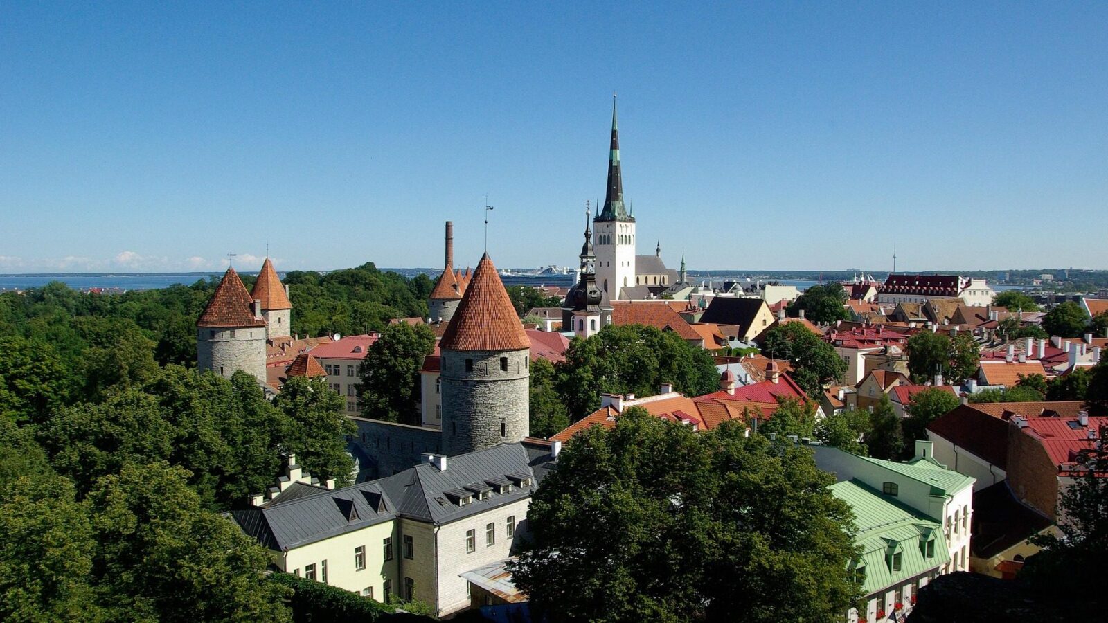 Estonian Company Lookup: How to Find Any Company’s Details for Free