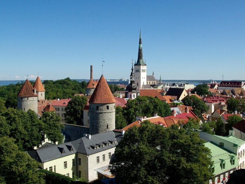 Estonian Company Lookup: How to Find Any Company's Details for Free