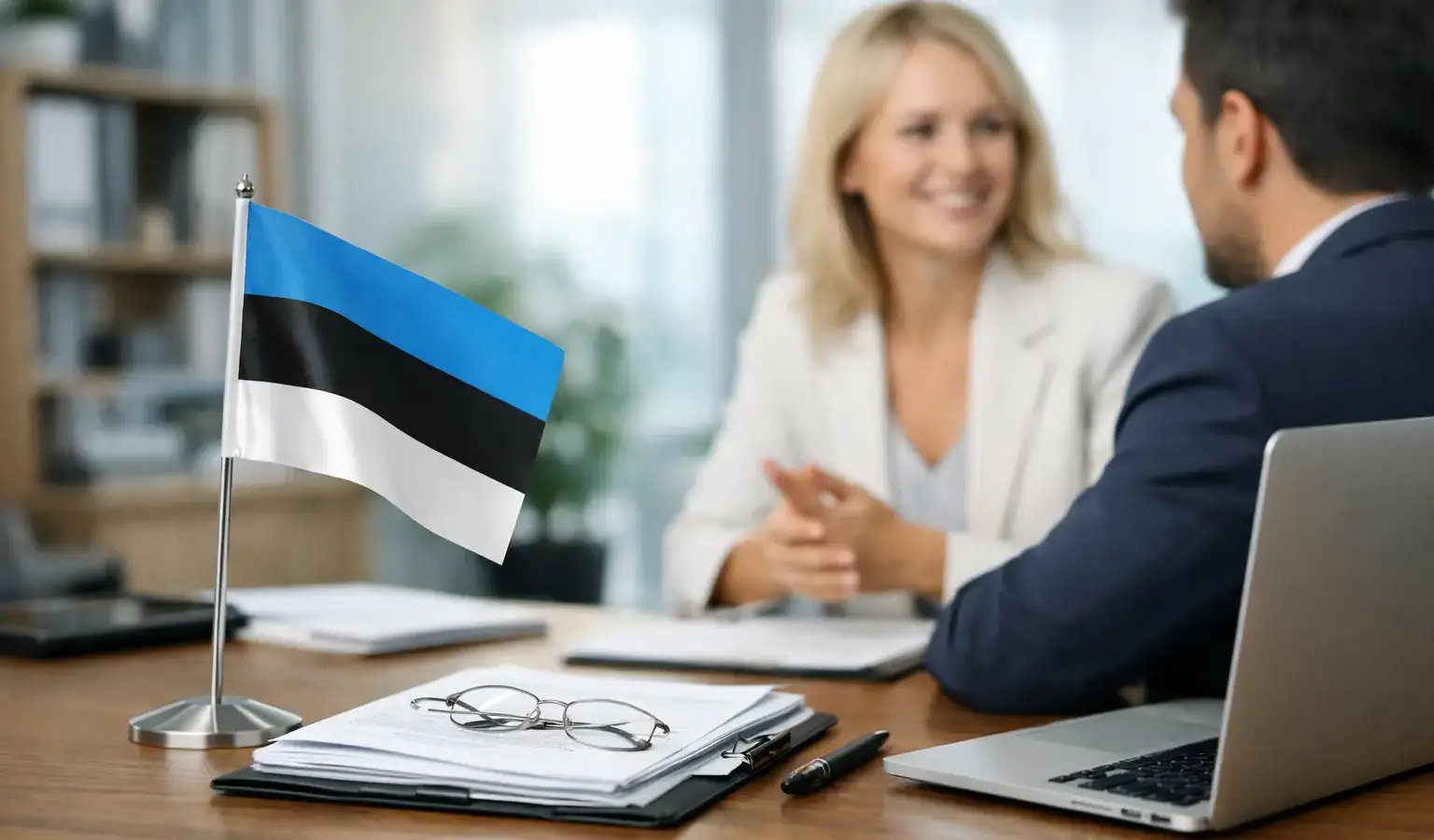 Estonian Business Register Filing Help