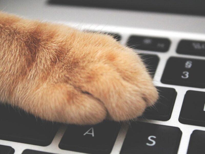 Estonian Nonprofit Formation (MTÜ) Online — Guide for e-Residents (2026)